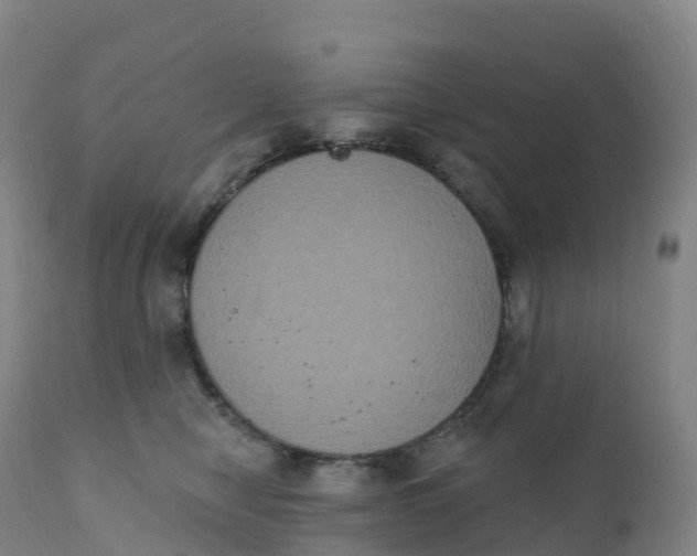 X0000111830470200908131550