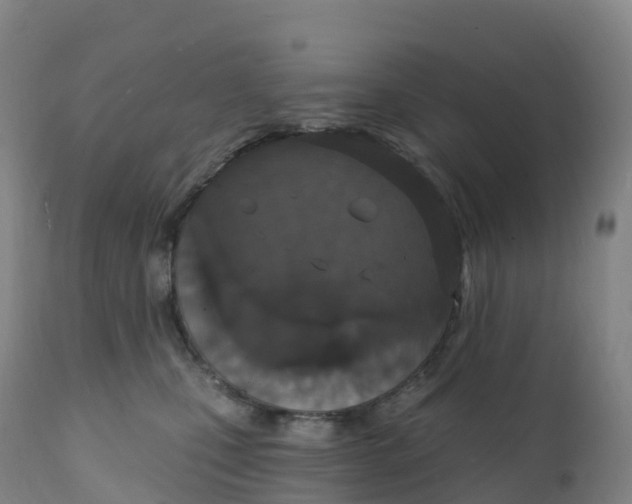 X0000111830471200908131550