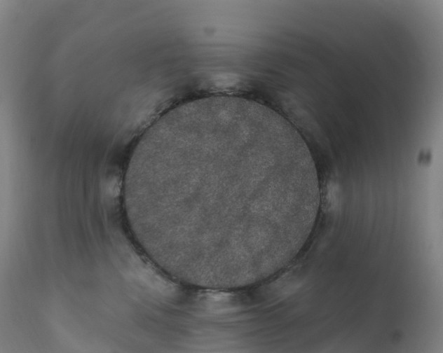 X0000111830472200908131550