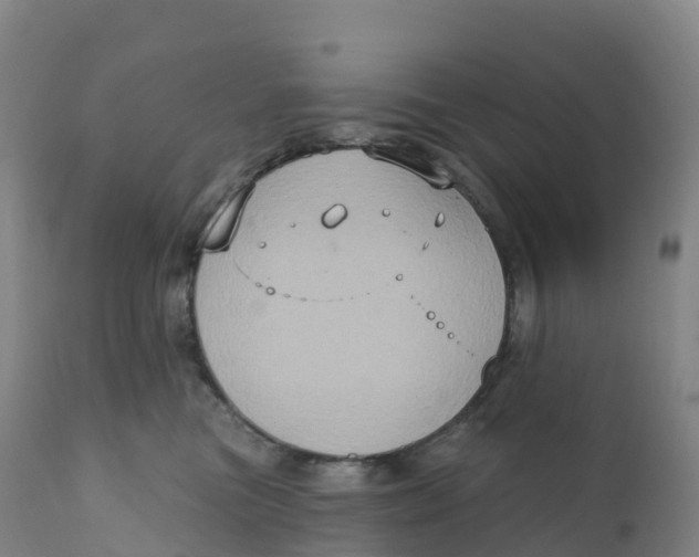 X0000111830473200908131550