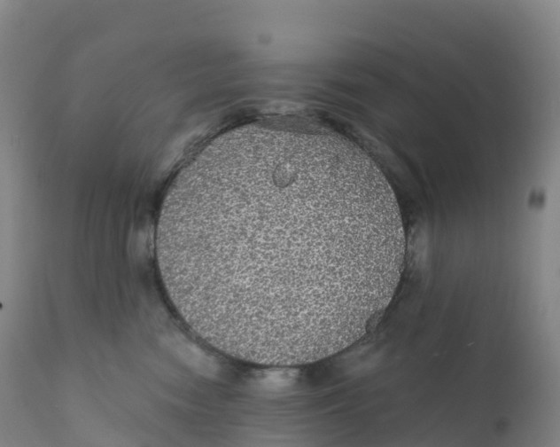 X0000111830474200908131550