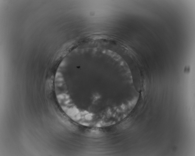 X0000111830475200908131550