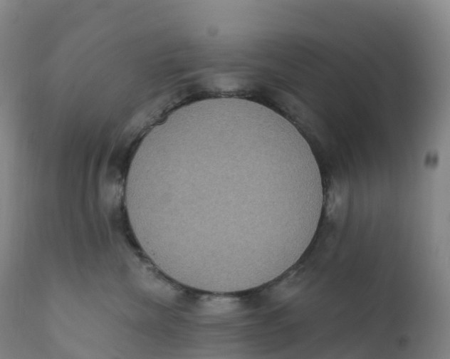 X0000111830476200908131550