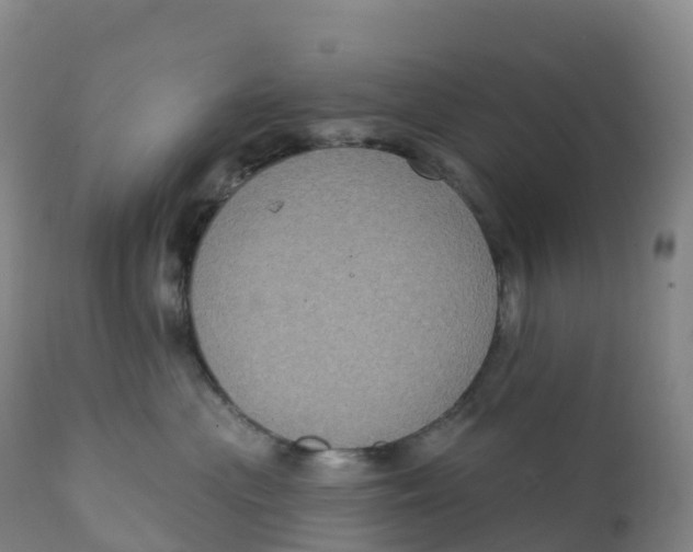 X0000111830477200908131551