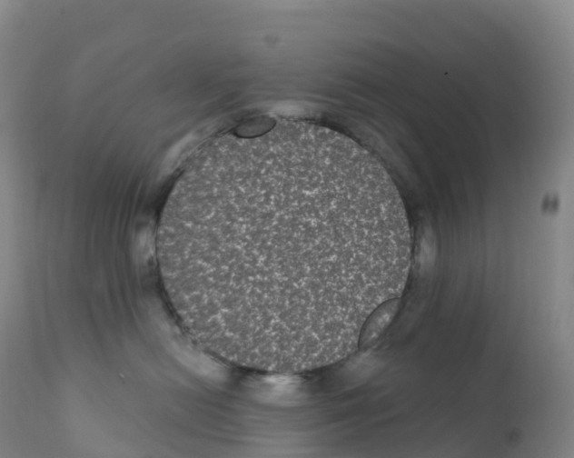 X0000111830478200908131551