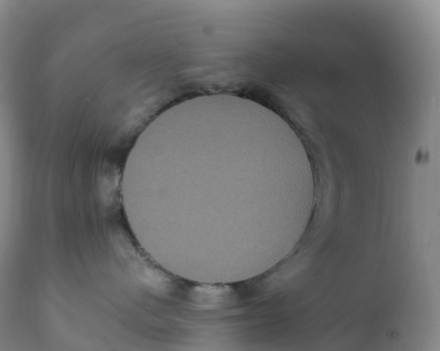 X0000111830480200908131551