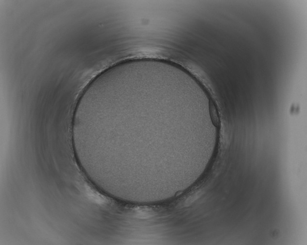 X0000111830481200908131550