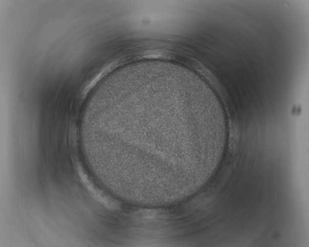 X0000111830482200908131550