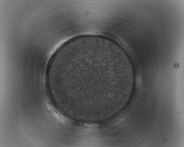 X0000111830484200908131550