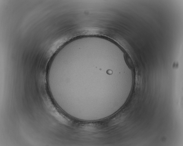 X0000111830485200908131550