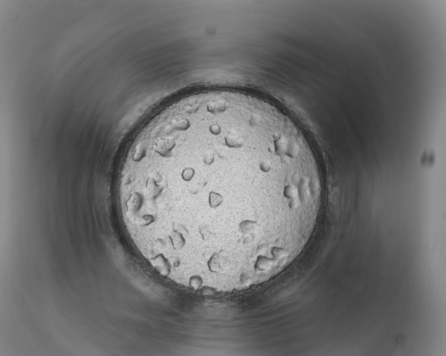 X0000111830487200908131550