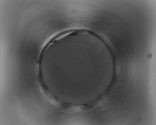 X0000111830488200908131550