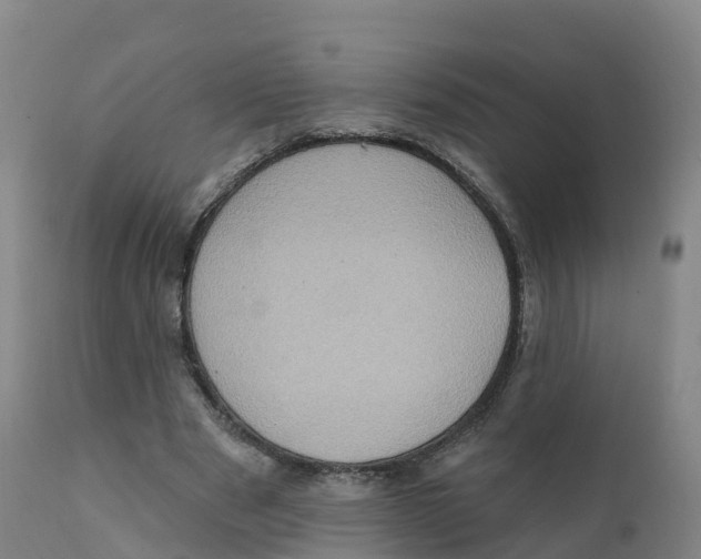 X0000111830489200908131550