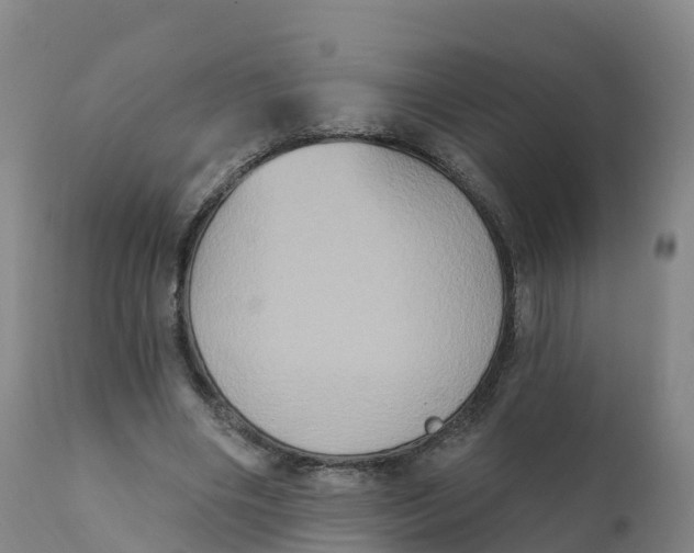 X0000111830490200908131550