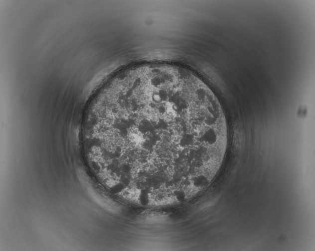 X0000111830491200908131550