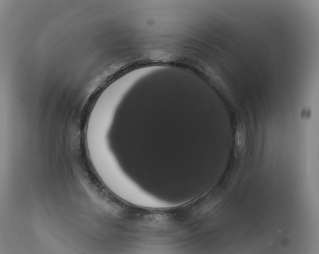 X0000111830492200908131550