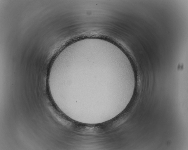 X0000111830493200908131550