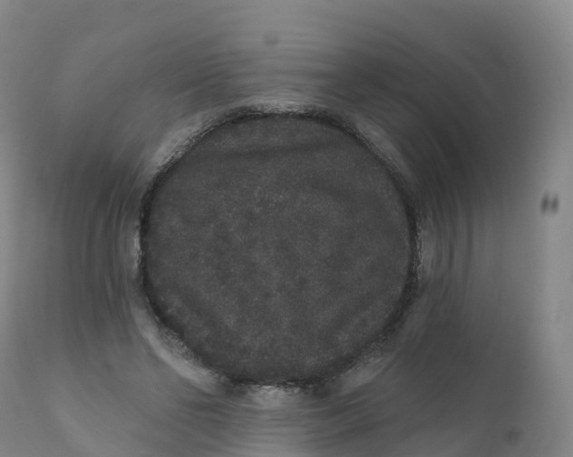 X0000111830494200908131550