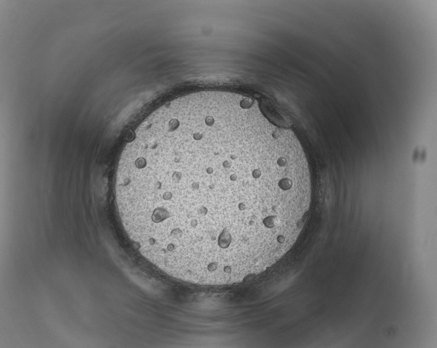 X0000111830495200908131550