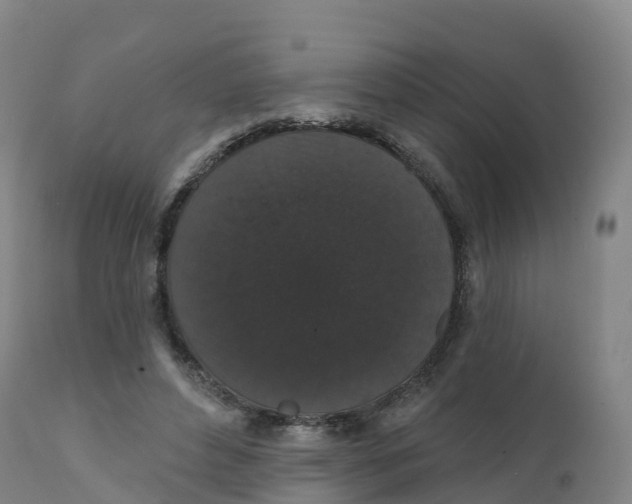 X0000111830496200908131550