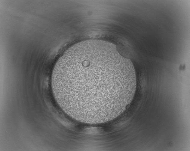 X0000111830499200908131550