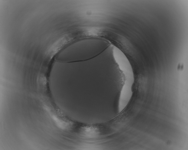 X0000111830500200908131550