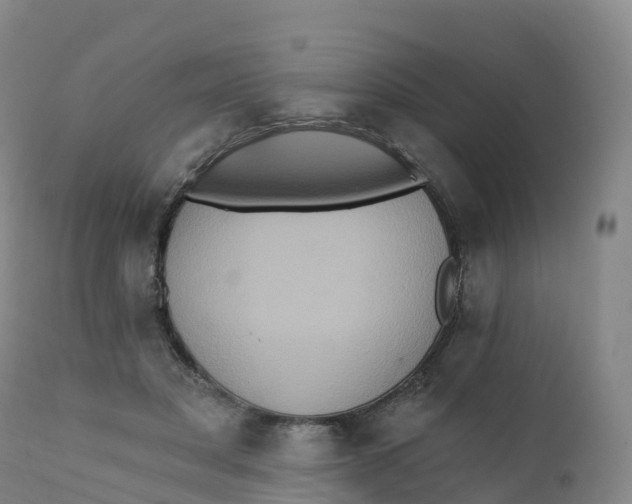 X0000111830501200908131550