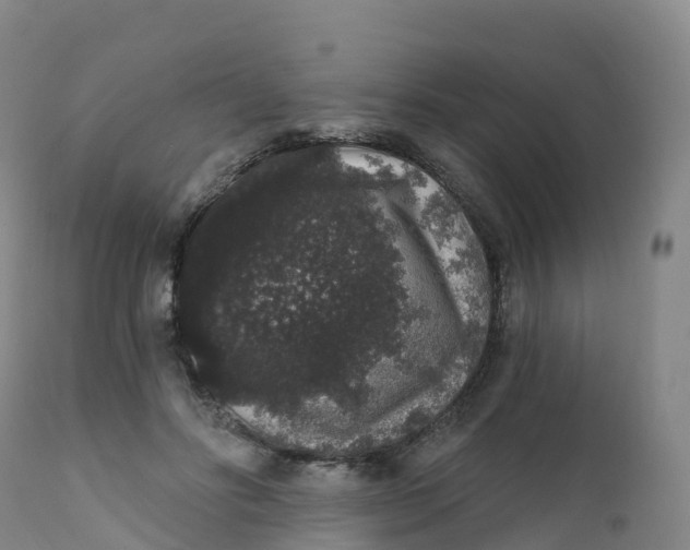 X0000111830502200908131550