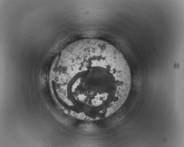 X0000111830503200908131550