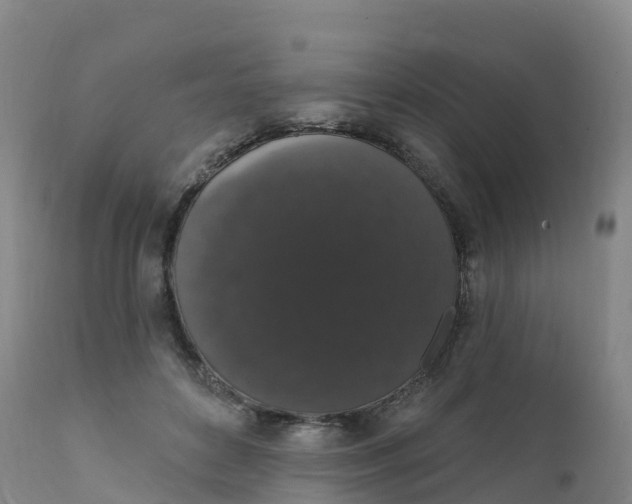 X0000111830504200908131550