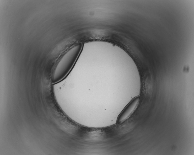 X0000111830505200908131550