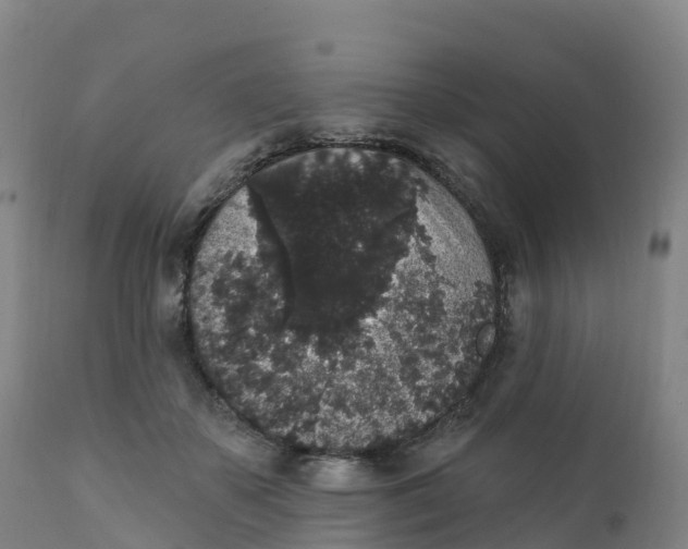 X0000111830507200908131550