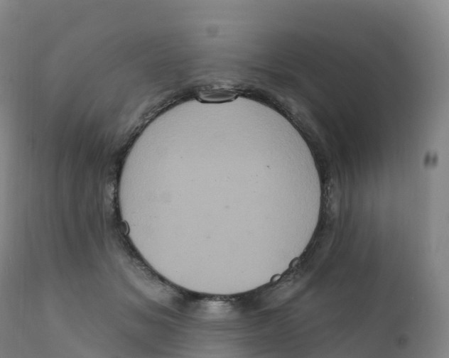 X0000111830509200908131550