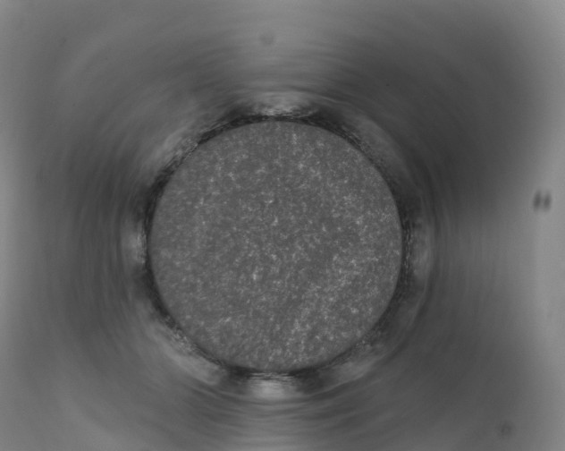 X0000111830510200908131549