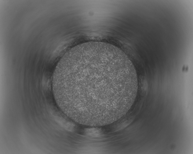 X0000111830511200908131549