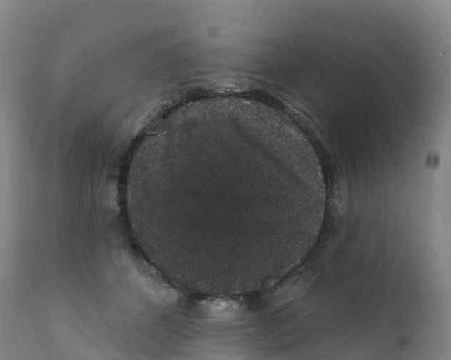 X0000111830512200908131549