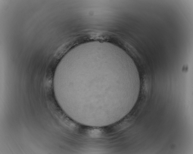 X0000111830513200908131549