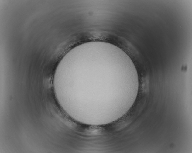 X0000111830514200908131549