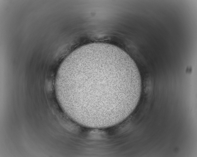 X0000111830515200908131549