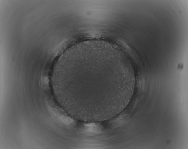 X0000111830516200908131549