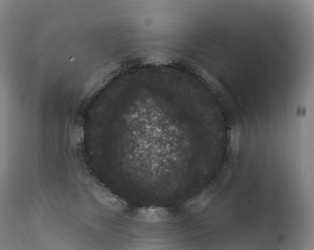 X0000111830517200908131549