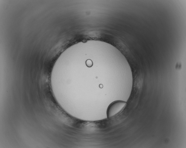 X0000111830518200908131549