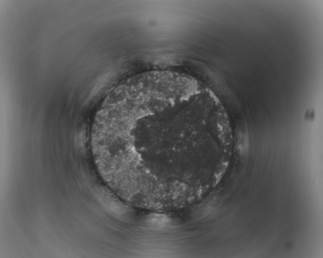 X0000111830519200908131549