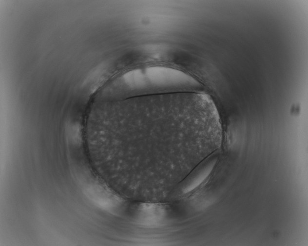 X0000111830520200908131549