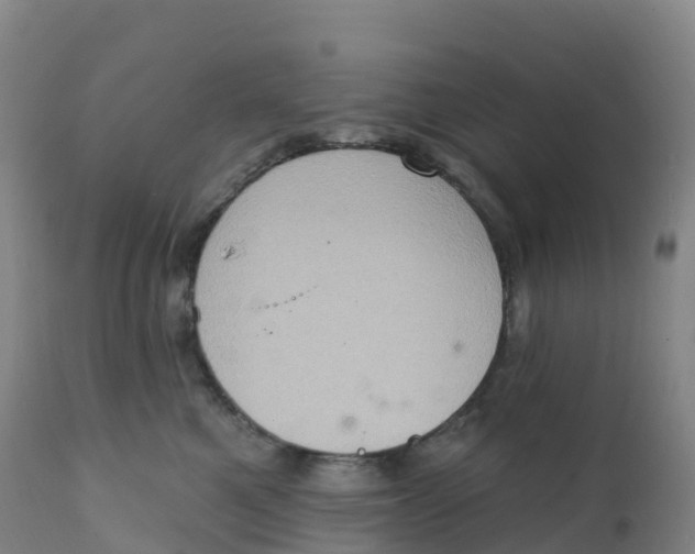 X0000111830521200908131549