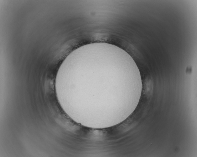 X0000111830522200908131549