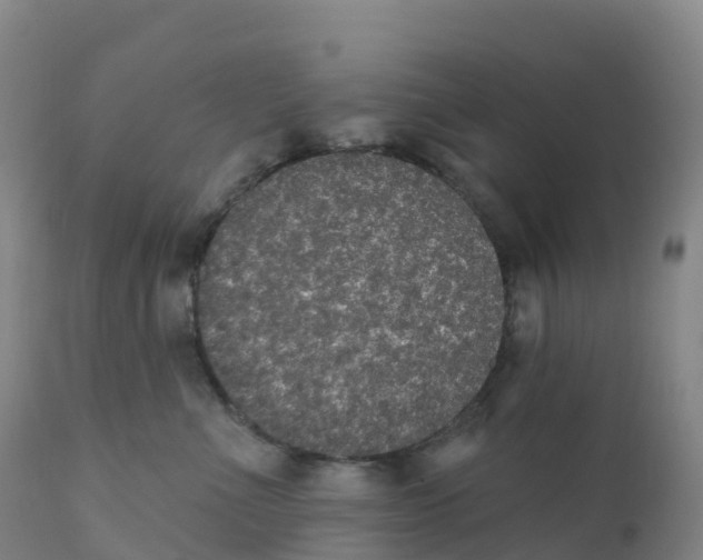 X0000111830523200908131549