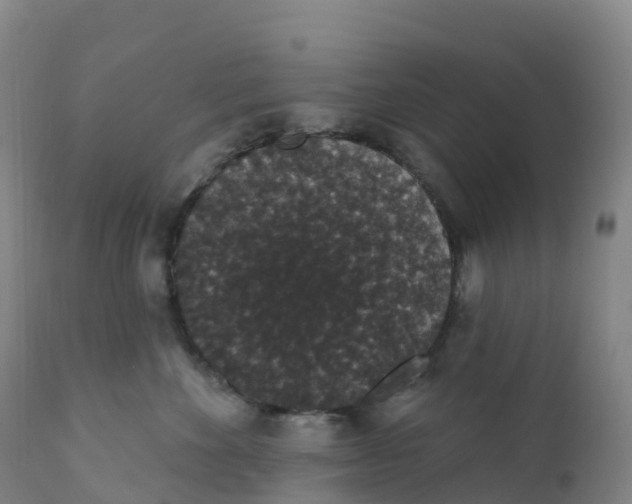 X0000111830524200908131549