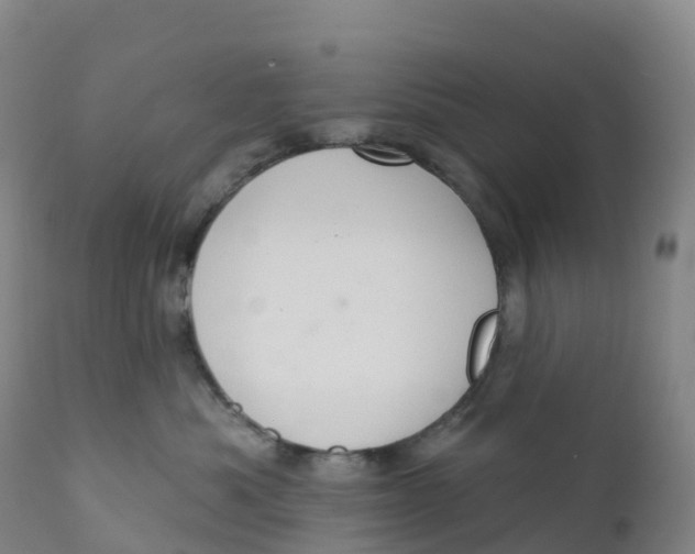 X0000111830525200908131549