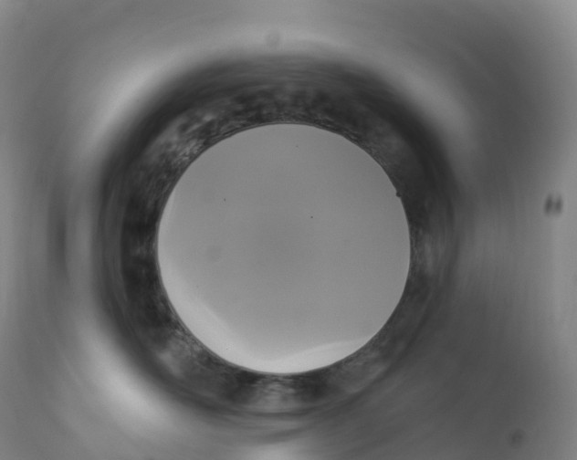 X0000111830526200908131549